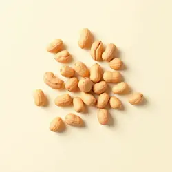 Food Icons preview 5