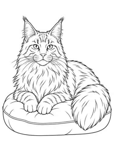 Pet Portraits by Breed preview 2