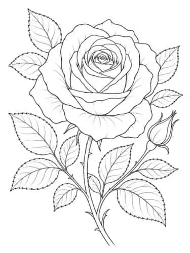 Botanical Florals preview 2