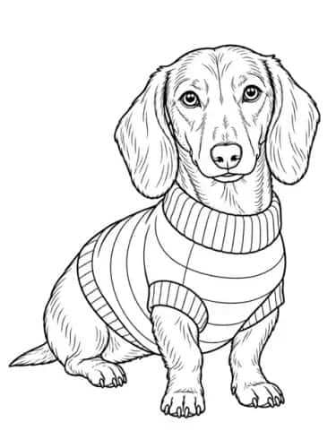 Pet Portraits by Breed preview 4