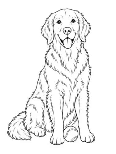 Pet Portraits by Breed preview 1