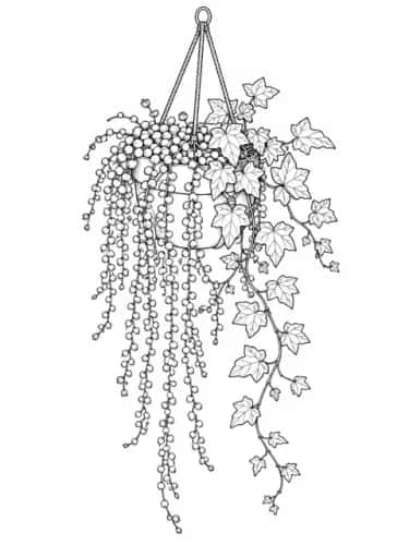 Botanical Florals preview 7