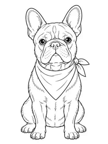 Pet Portraits by Breed preview 3