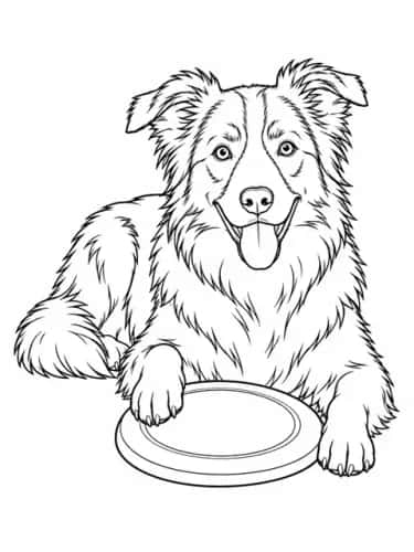 Pet Portraits by Breed preview 6