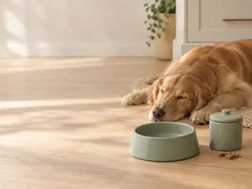 Pet Supplies preview 2