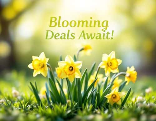 Spring Banners preview 3