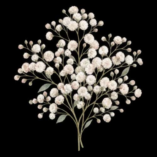 Wedding Florals preview 8