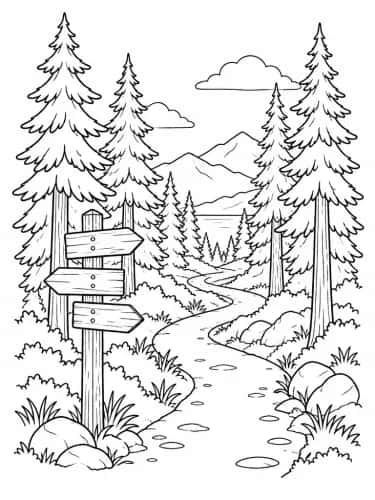 Forest Walk preview 1