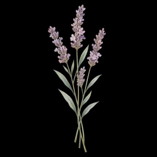 Wedding Florals preview 7