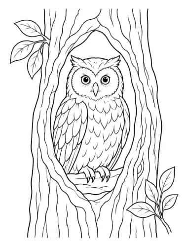 Forest Walk preview 4