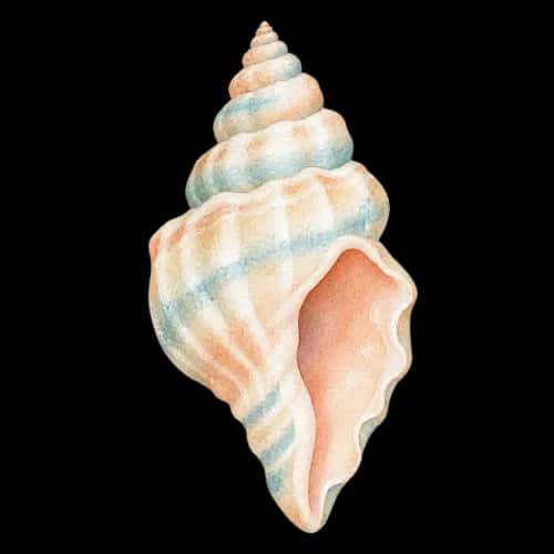 Coastal Summer preview 1