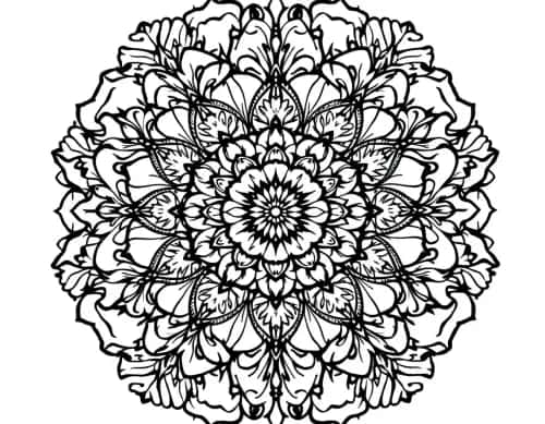 Coloring Books For Adults preview 3