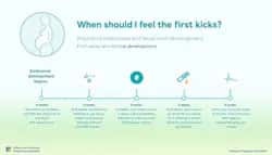 Educational Content preview 1